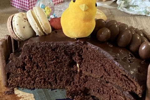 Cliquez pour zoomer ! Gâteau lapin de Pâques Thermomix par Juju974
