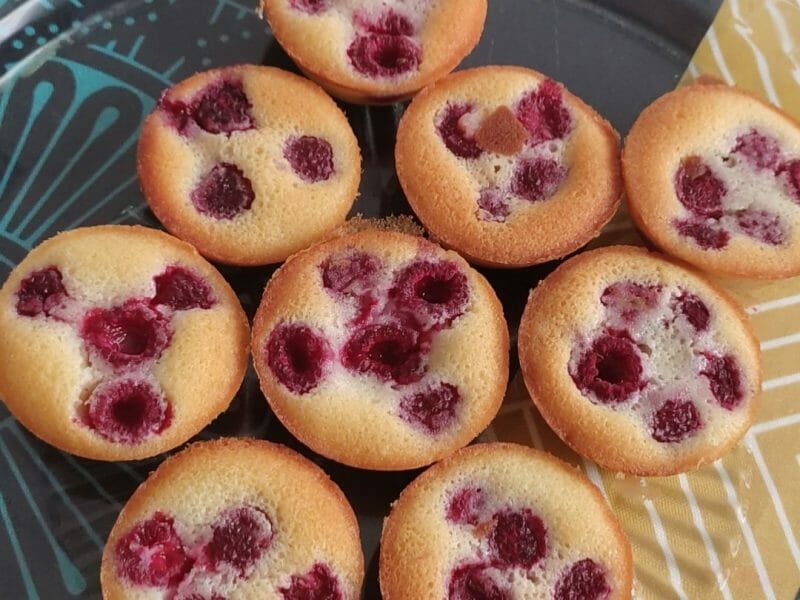 Cliquez pour zoomer ! Visitandines aux framboises Thermomix par mel_161