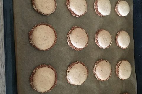 Cliquez pour zoomer ! Macarons Thermomix par chicha13