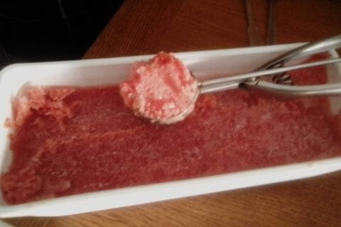 Cliquez pour zoomer ! Granité de pastèque Thermomix par hockthon