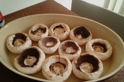 Cliquez pour zoomer ! Photo de hockthon