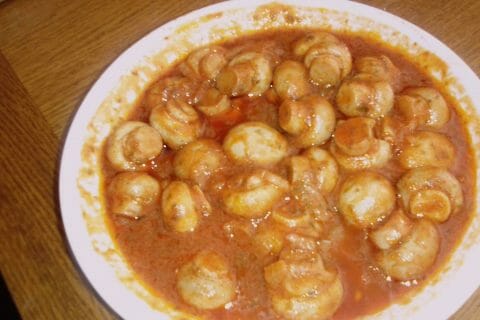 Cliquez pour zoomer ! Photo de hockthon