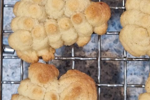 Cliquez pour zoomer ! Hélènettes Thermomix par van gestel monique