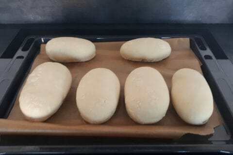 Cliquez pour zoomer ! Panini Thermomix par Ludi