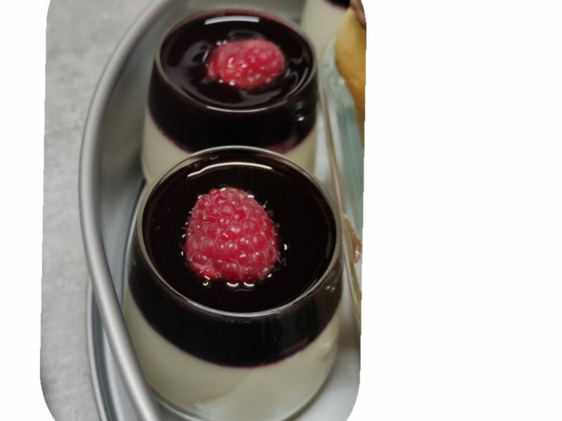 Cliquez pour zoomer ! Panna Cotta Thermomix par niiemela