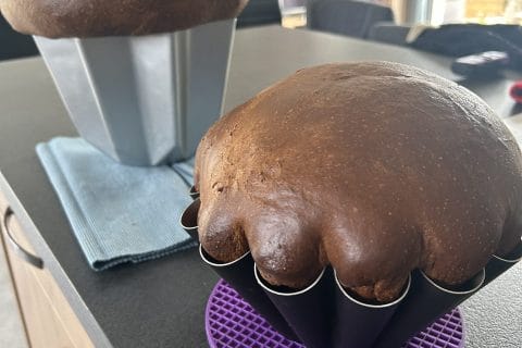 Cliquez pour zoomer ! Pandoro Thermomix par caromatisse