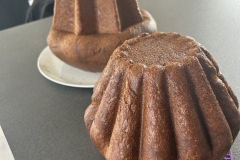 Cliquez pour zoomer ! Pandoro Thermomix par caromatisse