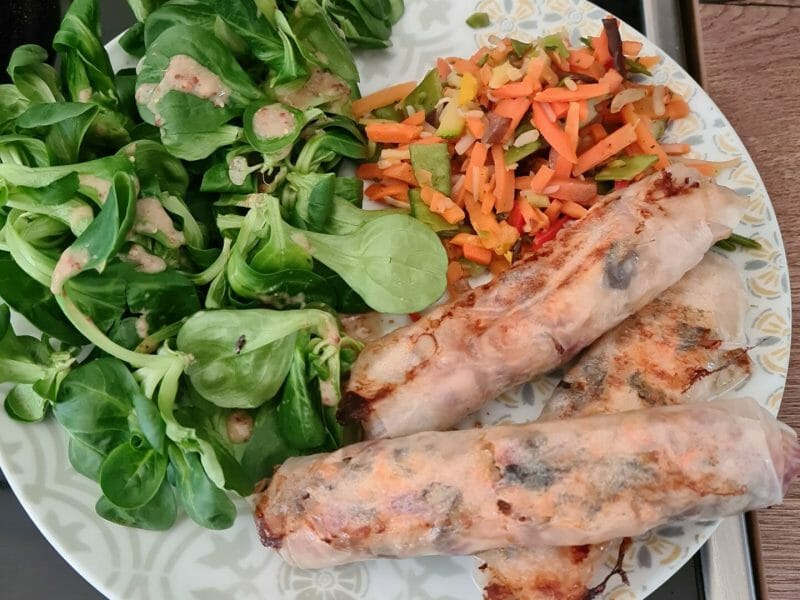 Cliquez pour zoomer ! Nems au poulet Thermomix par Caroline91530