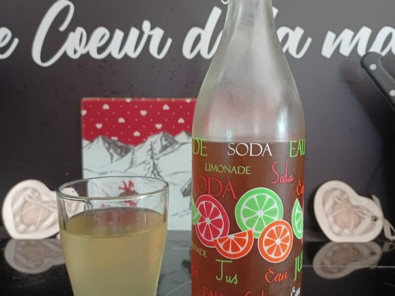 Cliquez pour zoomer ! Sirop de menthe Thermomix par guizmo73