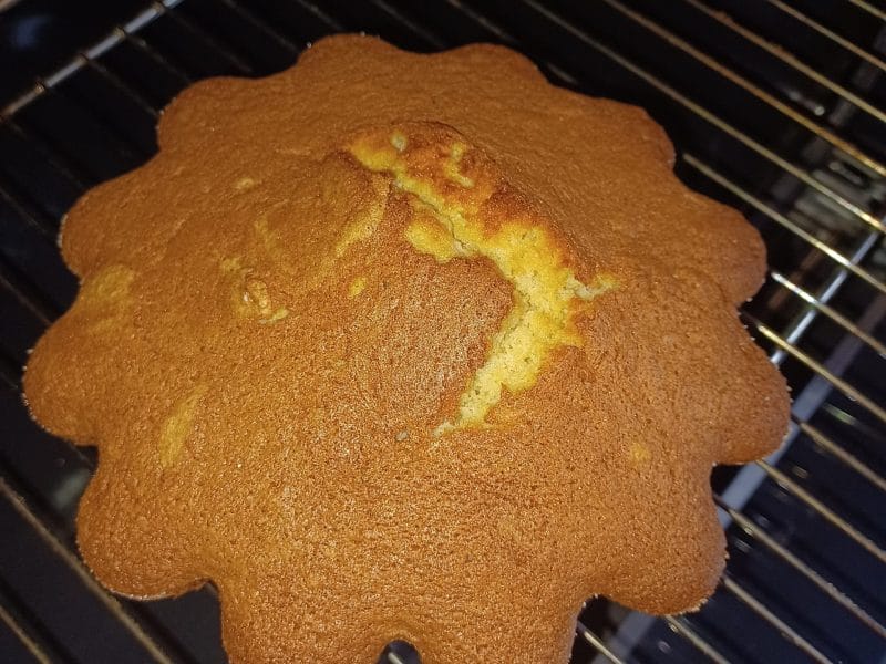 Cliquez pour zoomer ! Gâteau neige Thermomix par guizmo73