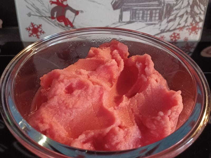 Cliquez pour zoomer ! Sorbet à la pastèque Thermomix par guizmo73