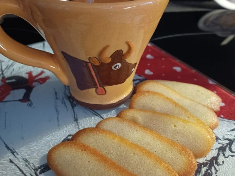 Cliquez pour zoomer ! Langues de chat Thermomix par guizmo73