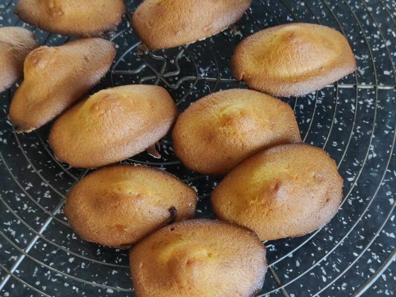 Cliquez pour zoomer ! Madeleines Thermomix par sherazade50
