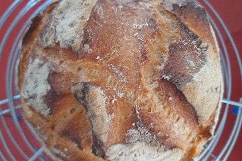 Cliquez pour zoomer ! Pain Cocotte Thermomix par Lilie58240