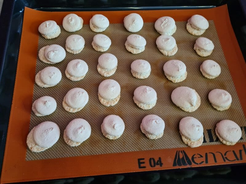Cliquez pour zoomer ! Macarons Thermomix par nephtys96