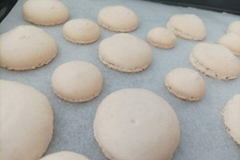 Cliquez pour zoomer ! Macarons salés au foie gras Thermomix par tchoomi