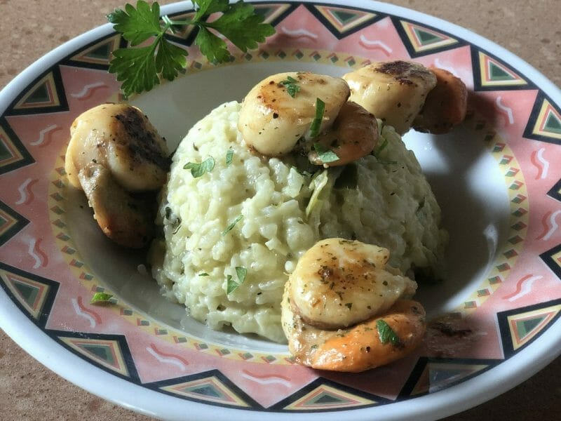 Cliquez pour zoomer ! Risotto aux Saint Jacques et poireaux Thermomix par Nash