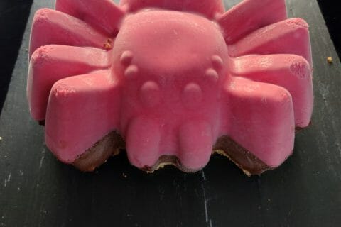 Cliquez pour zoomer ! Mousse à la framboise et son coulis Thermomix par elle-m-ra