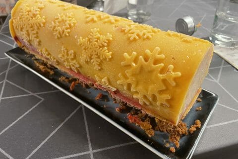 Cliquez pour zoomer ! Bûche glacée mangue et framboise Thermomix par mimie_cracra