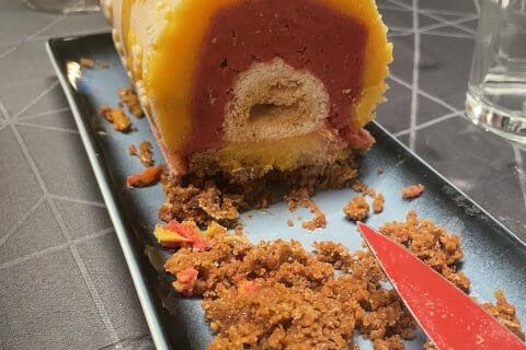 Cliquez pour zoomer ! Bûche glacée mangue et framboise Thermomix par mimie_cracra