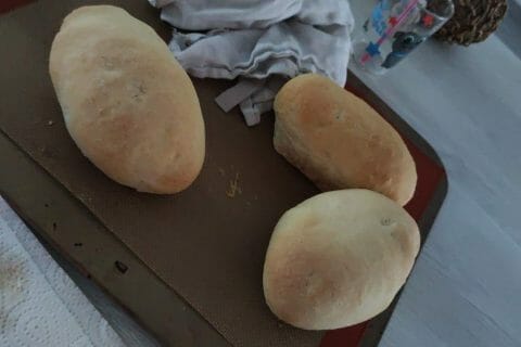 Cliquez pour zoomer ! Panini Thermomix par syanaia