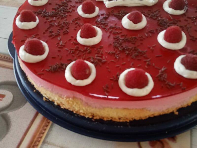 Cliquez pour zoomer ! Bavarois aux framboises Thermomix par christine_378