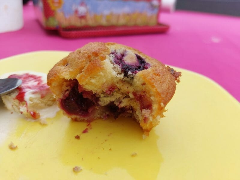 Cliquez pour zoomer ! Mini muffins aux fruits rouges Thermomix par fanfan2407