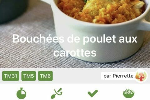 Cliquez pour zoomer ! Photo de nael29 Thermomix par nael29