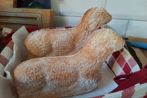 Cliquez pour zoomer ! Lamala (agneau de Pâques) Thermomix par equifan