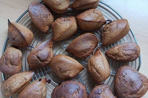 Cliquez pour zoomer ! Photo de lagam