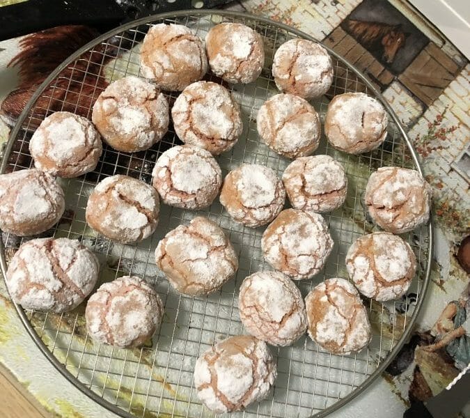 Cliquez pour zoomer ! Craquelés aux biscuits roses de Reims Thermomix par renawei