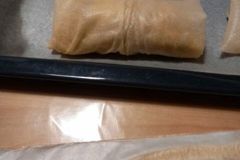 Cliquez pour zoomer ! Nems au poulet Thermomix par chicago