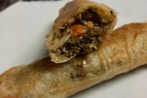 Cliquez pour zoomer ! Nems au poulet Thermomix par chicago