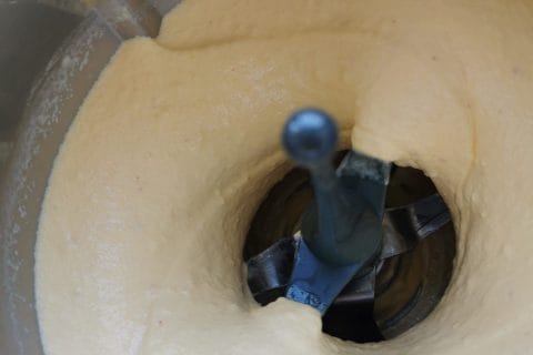 Cliquez pour zoomer ! Sorbet mangue Thermomix par El Mazhar