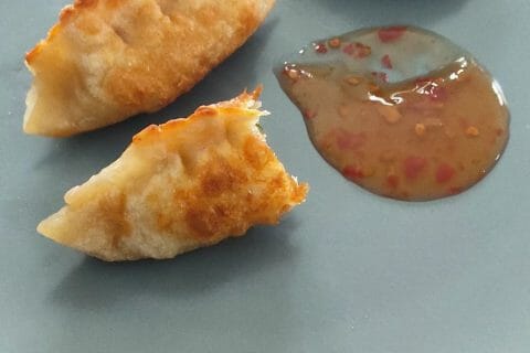 Cliquez pour zoomer ! Gyoza poulet et chou chinois Thermomix par thya_1