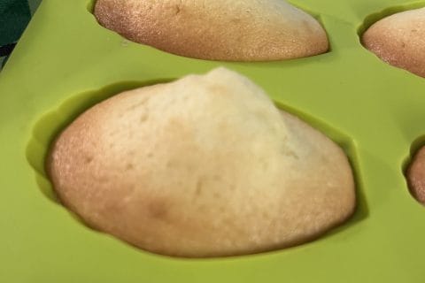 Cliquez pour zoomer ! Madeleines Thermomix par krol55