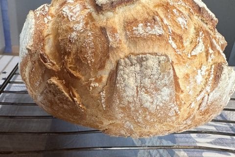 Cliquez pour zoomer ! Pain Cocotte Thermomix par beatrice_157