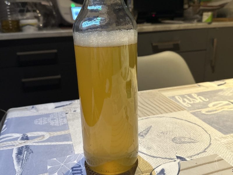 Cliquez pour zoomer ! Sirop de citron Thermomix par beatrice_157