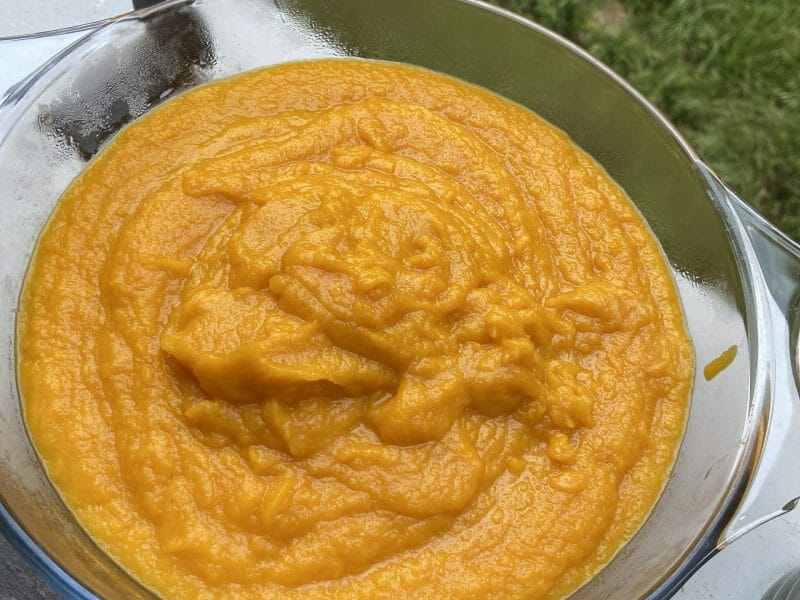 Cliquez pour zoomer ! Purée de carottes Thermomix par doudouclaire09