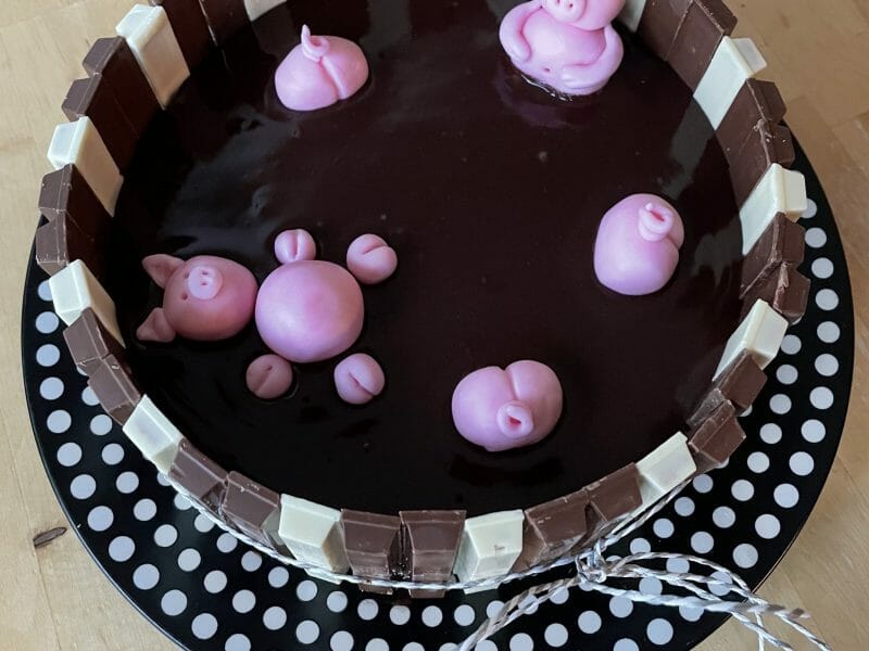 Cliquez pour zoomer ! La mare aux cochons Thermomix par clo_51