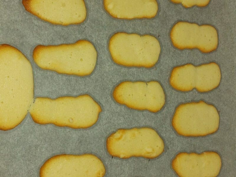 Cliquez pour zoomer ! Langues de chat Thermomix par malidais