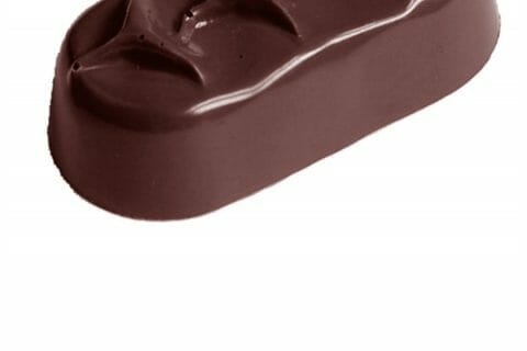 Cliquez pour zoomer ! Photo de meltheo