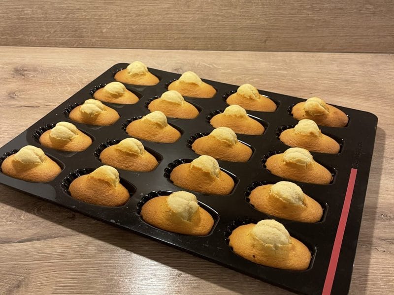 Cliquez pour zoomer ! Madeleines Thermomix par Cuisine en famille ❤️