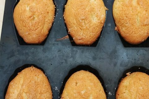 Cliquez pour zoomer ! Magdalenas – Madeleines espagnoles Thermomix par Doundoun