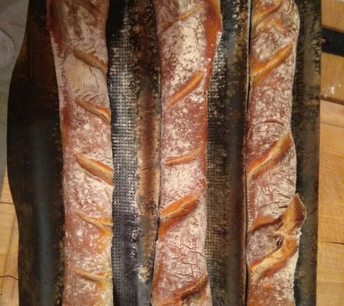 Cliquez pour zoomer ! Baguettes Thermomix par benefamily