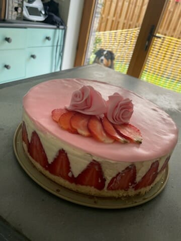 Cliquez pour zoomer ! Photo de christophe19100 Thermomix par christophe19100