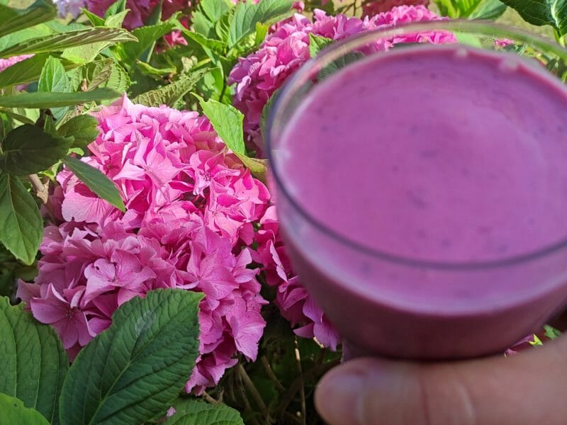 Cliquez pour zoomer ! Smoothie Good morning ! Thermomix par floflo76650