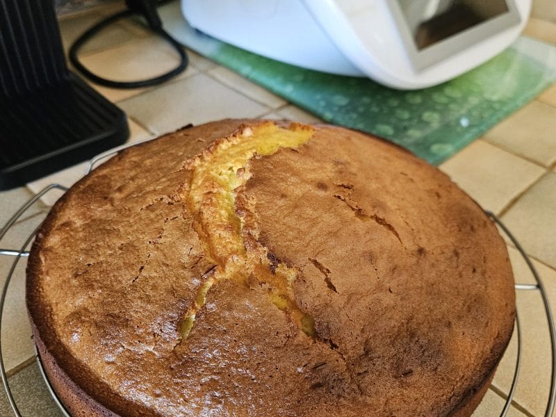 Cliquez pour zoomer ! Gâteau à l’orange Thermomix par MagdaB13