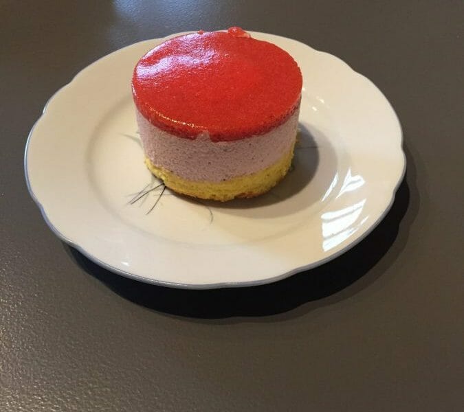 Cliquez pour zoomer ! Bavarois aux framboises Thermomix par Chantalia66