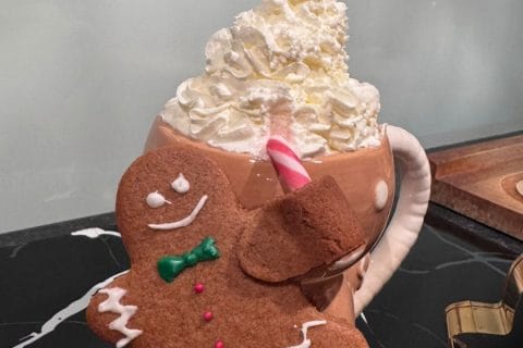 Cliquez pour zoomer ! Bonhommes en pain d’épices Thermomix par sylviev18